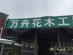 -七月里花店