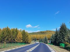 -塞罕坝国家级自然保护区