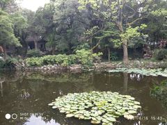 -叶家花园