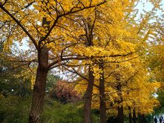 -国家植物园南园