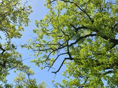 -终南山南五台景区