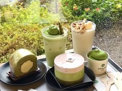 -雪绿茶博物馆