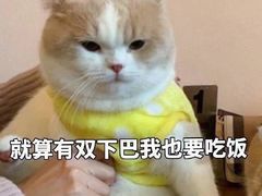 -拙味兄弟龙虾·江湖菜(和畅堂店)