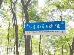 -老龙头景区
