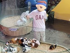 -正佳雨林生态植物园