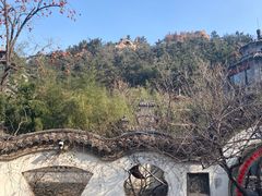 -老张烤羊(王哥庄店)