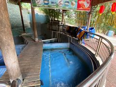 -鲤鱼塘农家山庄