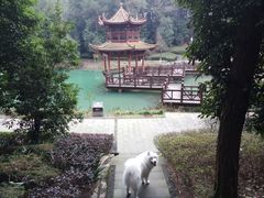 -铁山坪森林公园