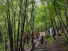 -帽儿山风景区