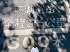 -海珠湖公园