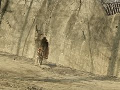 -秦皇岛野生动物园
