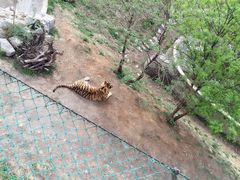 -石家庄市动物园