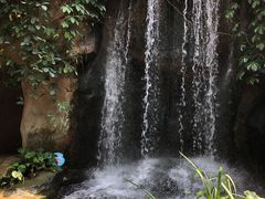 -南山植物园