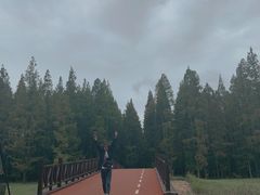 -黄海国家森林公园