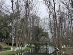 -桤木河湿地公园