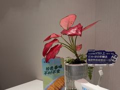 -鹿港小镇(黄金店)