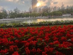 -翠湖公园