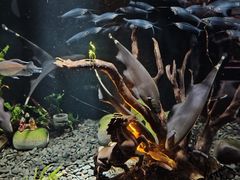 -太平洋海底世界