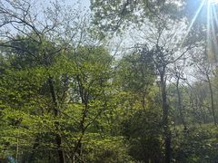 -南山风景名胜区