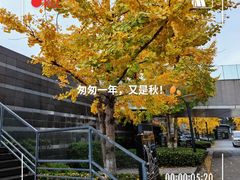 -棕榈泉国际花园1期