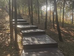 -北京十三陵国家森林公园蟒山景区