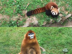 -西安秦岭野生动物园