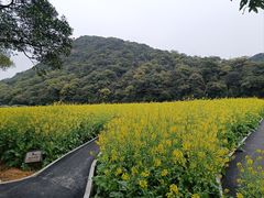 -广州市石门国家森林公园