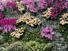 -石家庄市植物园