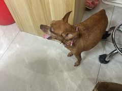 -爱脊康新中式推拿(江汉路步行街店)