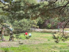 -玉泉威虎山森林公园