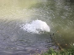 -海底捞火锅(杭州庆春路夜宵主题店)