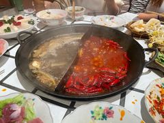 -朱光玉火锅馆(正弘城店)