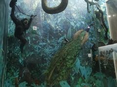 -国家自然博物馆