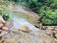 -素山寺森林公园