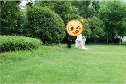 点击看大图 -青禾蒙娜丽莎婚纱摄影(武汉总店)