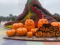 -七彩云南欢乐世界