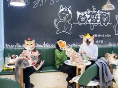 -安格丽娜·狗咖·猫咖羊驼咖(春熙路百盛商场店)