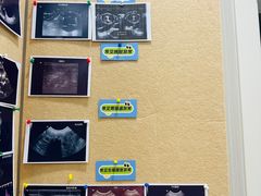 -东莞宠友24H宠物中心医院·转诊夜诊·异宠(新河北路院)