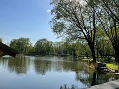 -石家庄市植物园