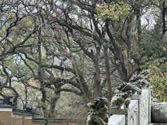 -普陀山风景名胜区-法雨禅寺