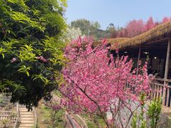 -玫瑰庄园·自助烧烤·烤全羊·团建拓展(龙泉山店)