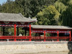 -尚庄度假村·庭台树下·户外烧烤·团建CS·轰趴营地(上庄水库店)