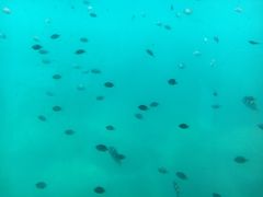 -亚龙湾海底世界