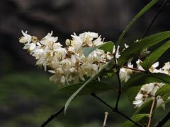 -刘伯温故里景区百丈漈