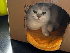 -联合动物医院(光谷诊疗中心)