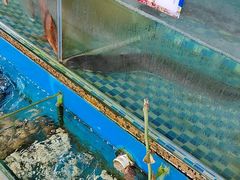 -俊江海鲜酒店(海陵岛白蒲市场店)