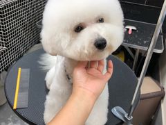 -小尾巴宠物店(万科·金域华庭店)