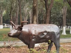 -汉口江滩-五福广场