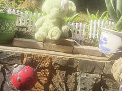 -鱼乐岛餐厅·户外花园主题餐厅