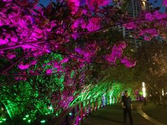 -苏州河梦清园环保主题公园